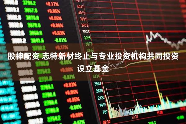 股神配资 志特新材终止与专业投资机构共同投资设立基金