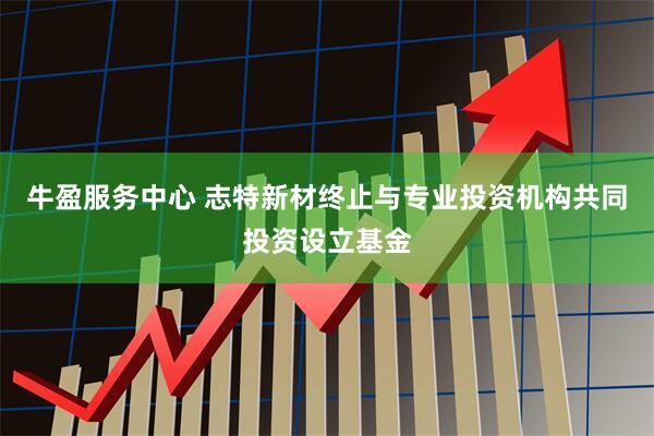 牛盈服务中心 志特新材终止与专业投资机构共同投资设立基金