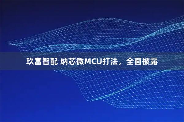 玖富智配 纳芯微MCU打法，全面披露