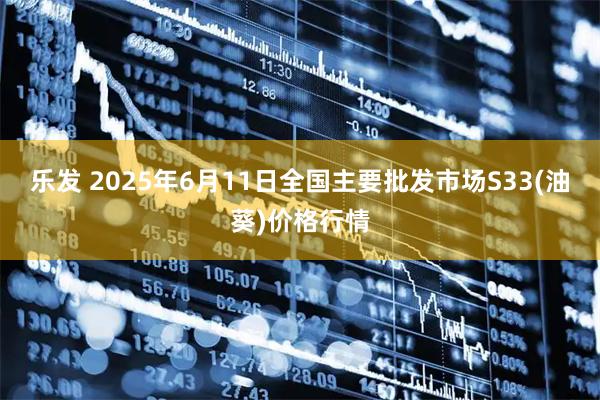乐发 2025年6月11日全国主要批发市场S33(油葵)价格行情