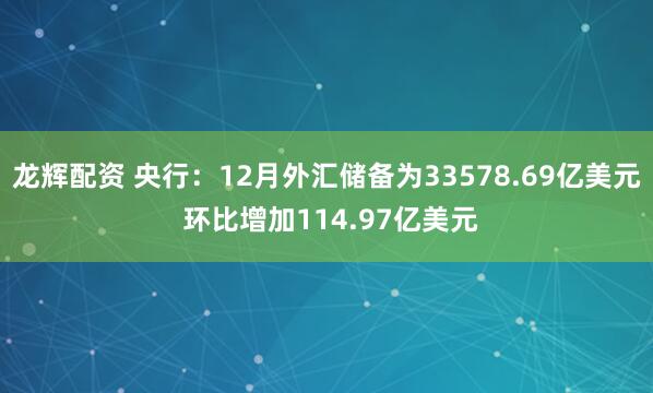 龙辉配资 央行：12月外汇储备为33578.69亿美元 环比增加114.97亿美元